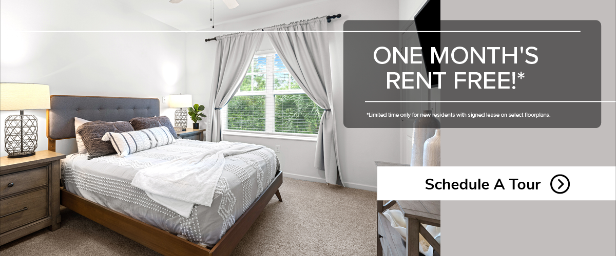 DOV-0106-Slider_One_Month_Free_November_2025_1200_x_500