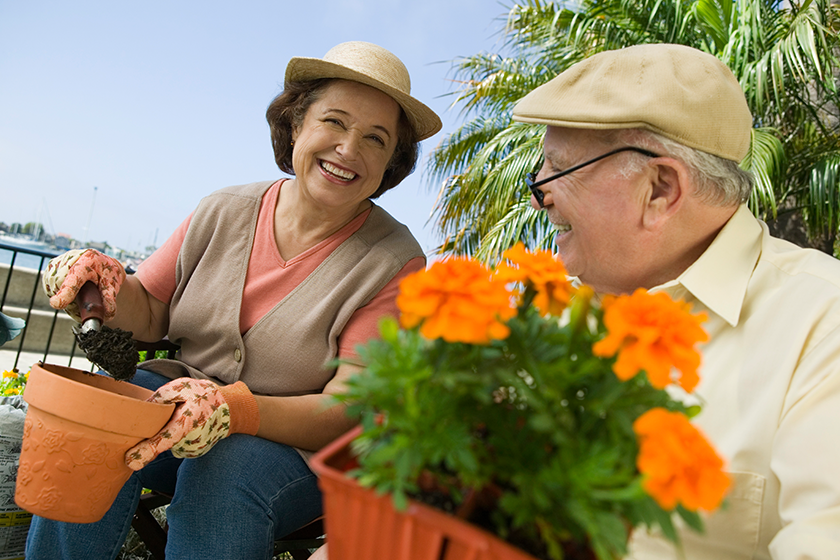 happy senior woman man working garden